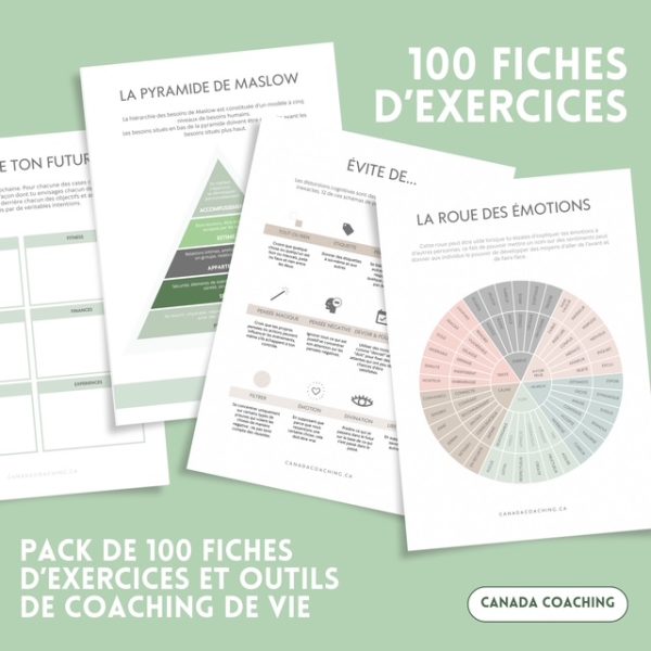 100 fiches d'exercices pour particuliers et professionnels exercice coach Canada Coaching